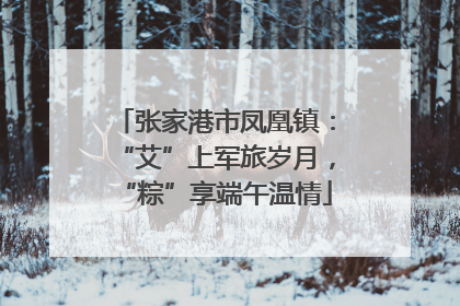 张家港市凤凰镇：“艾”上军旅岁月，“粽”享端午温情