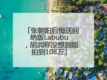 张朝阳后悔送回绝版Labubu，胡润称没想到能拍到108万