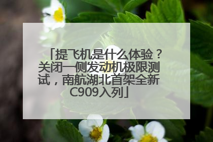 提飞机是什么体验？关闭一侧发动机极限测试，南航湖北首架全新C909入列