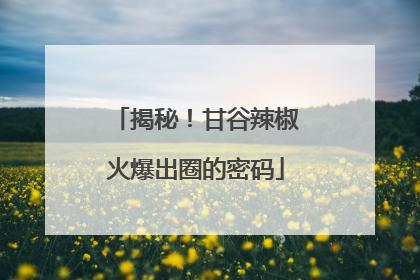 揭秘！甘谷辣椒火爆出圈的密码