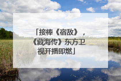 接棒《宿敌》，《藏海传》东方卫视开播即燃