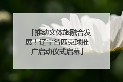 推动文体旅融合发展！辽宁省匹克球推广启动仪式启幕