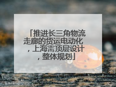 推进长三角物流走廊的货运电动化，上海需顶层设计，整体规划