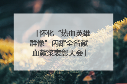 怀化“热血英雄群像”闪耀全省献血献浆表彰大会