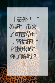 意外！“苏超”带火了句容草坪，背后的“科技密码”你了解吗？