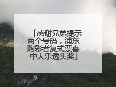 感谢兄弟提示两个号码，浦东购彩者复式票喜中大乐透头奖