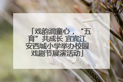 戏韵润童心，“五育”共成长 宜宾江安西城小学举办校园戏剧节展演活动
