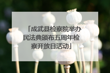 成武县检察院举办民法典颁布五周年检察开放日活动