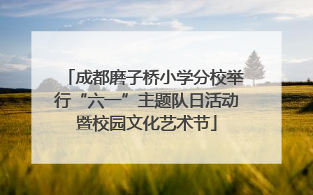 成都磨子桥小学分校举行“六一”主题队日活动暨校园文化艺术节
