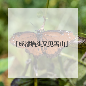 成都抬头又见雪山
