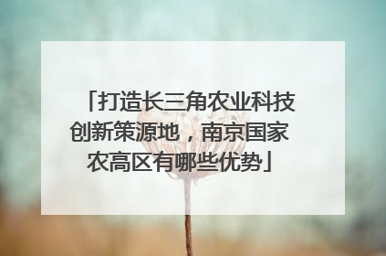 打造长三角农业科技创新策源地，南京国家农高区有哪些优势