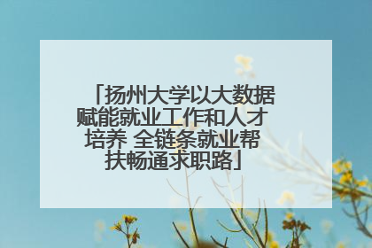 扬州大学以大数据赋能就业工作和人才培养 全链条就业帮扶畅通求职路