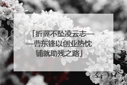 折翼不坠凌云志——曹东锋以创业热忱铺就助残之路