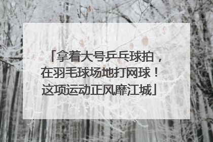 拿着大号乒乓球拍，在羽毛球场地打网球！这项运动正风靡江城