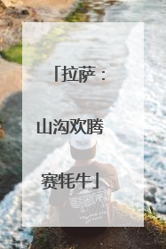 拉萨：山沟欢腾赛牦牛