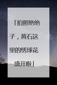 拍照绝绝子，黄石这里的绣球花盛开啦
