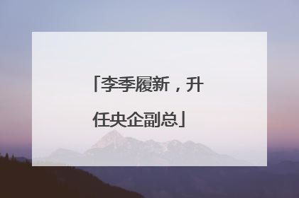 李季履新，升任央企副总