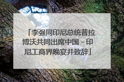 李强同印尼总统普拉博沃共同出席中国－印尼工商界晚宴并致辞