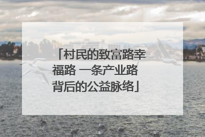 村民的致富路幸福路 一条产业路背后的公益脉络