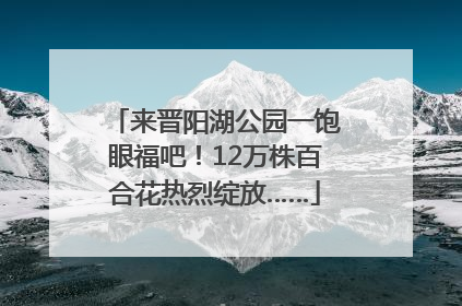 来晋阳湖公园一饱眼福吧！12万株百合花热烈绽放……