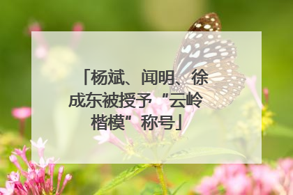 杨斌、闻明、徐成东被授予“云岭楷模”称号