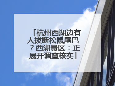 杭州西湖边有人拔断松鼠尾巴？西湖景区：正展开调查核实