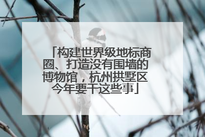 构建世界级地标商圈、打造没有围墙的博物馆，杭州拱墅区今年要干这些事