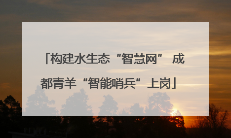 构建水生态“智慧网” 成都青羊“智能哨兵”上岗