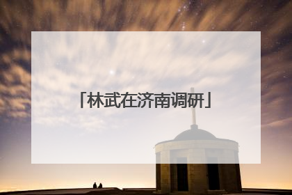 林武在济南调研