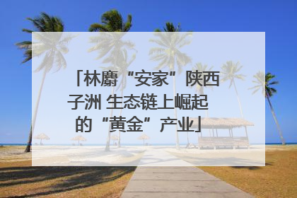 林麝“安家”陕西子洲 生态链上崛起的“黄金”产业