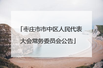 枣庄市市中区人民代表大会常务委员会公告