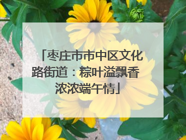 枣庄市市中区文化路街道：粽叶溢飘香 浓浓端午情