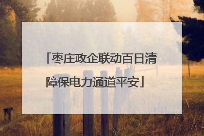 枣庄政企联动百日清障保电力通道平安