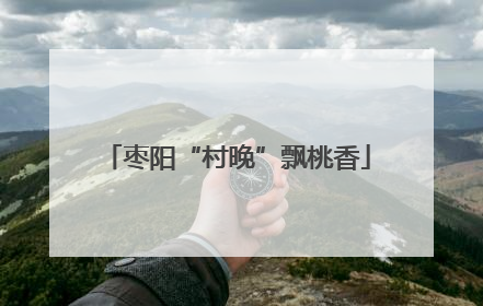 枣阳“村晚”飘桃香