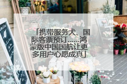 携带服务犬、国际客票预订……鸿蒙版中国国航让更多用户心愿成真