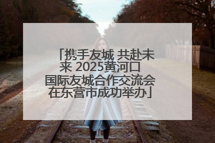 携手友城 共赴未来 2025黄河口国际友城合作交流会在东营市成功举办