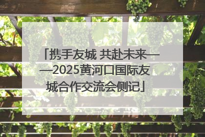 携手友城 共赴未来——2025黄河口国际友城合作交流会侧记