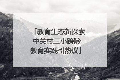教育生态新探索 中关村三小跨龄教育实践引热议