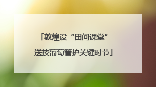 敦煌设“田间课堂” 送技葡萄管护关键时节