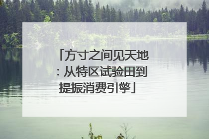 方寸之间见天地：从特区试验田到提振消费引擎