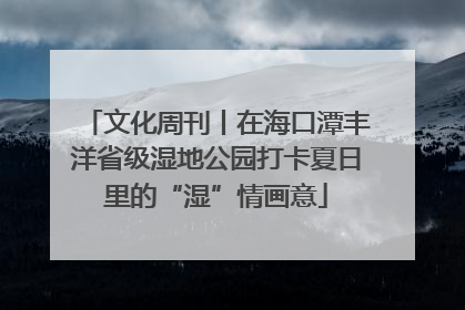 文化周刊丨在海口潭丰洋省级湿地公园打卡夏日里的“湿”情画意