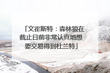 文霍斯特：森林狼在截止日前非常认真地想要交易得到杜兰特