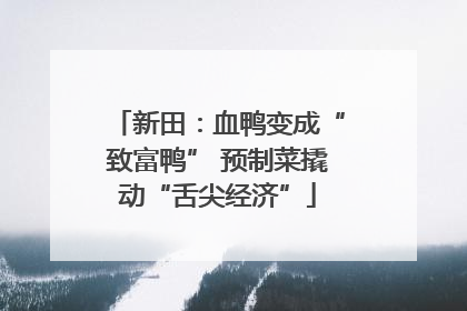 新田：血鸭变成“致富鸭” 预制菜撬动“舌尖经济”