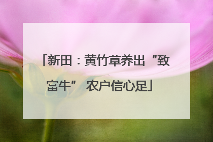 新田：黄竹草养出“致富牛” 农户信心足