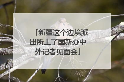 新疆这个边境派出所上了国新办中外记者见面会