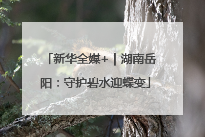 新华全媒+｜湖南岳阳：守护碧水迎蝶变