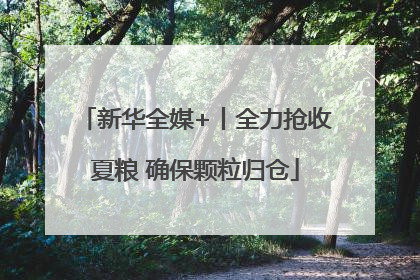 新华全媒+丨全力抢收夏粮 确保颗粒归仓