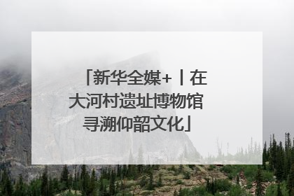 新华全媒+丨在大河村遗址博物馆寻溯仰韶文化