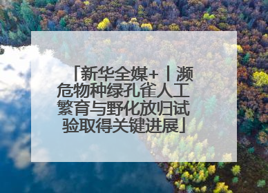新华全媒+丨濒危物种绿孔雀人工繁育与野化放归试验取得关键进展