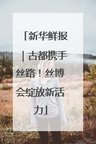 新华鲜报｜古都携手丝路！丝博会绽放新活力